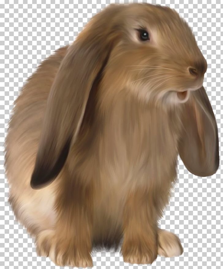 Easter Bunny Domestic Rabbit Hare PNG, Clipart, Animals, Animation, Brown Bunny, Bunnies, Dog Breed Free PNG Download
