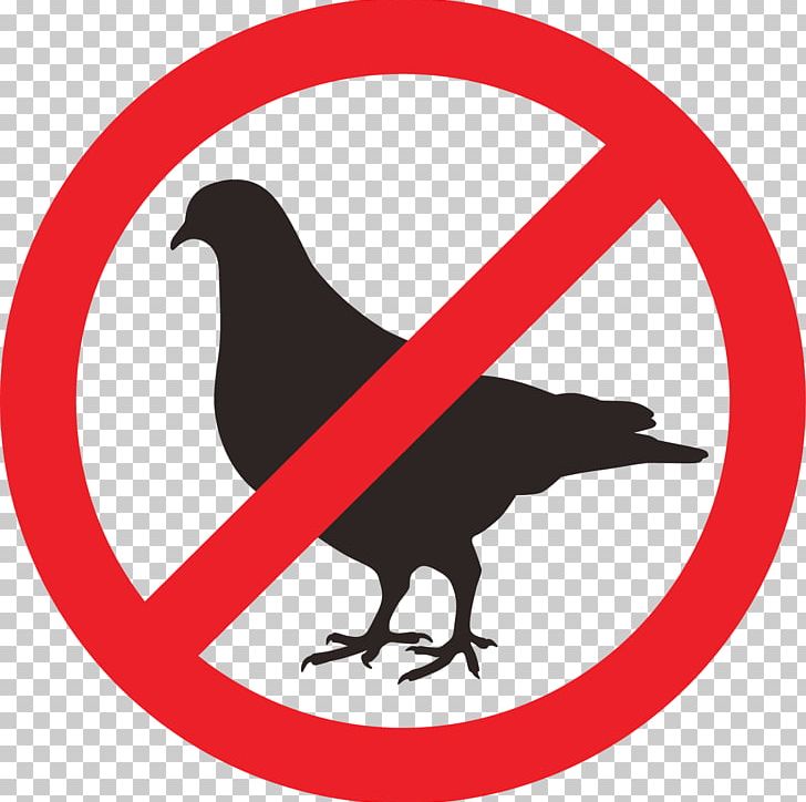 Electronic Pest Control Stock Photography PNG, Clipart, Area, Beak, Bird, Bird Clipart, Bird Control Free PNG Download