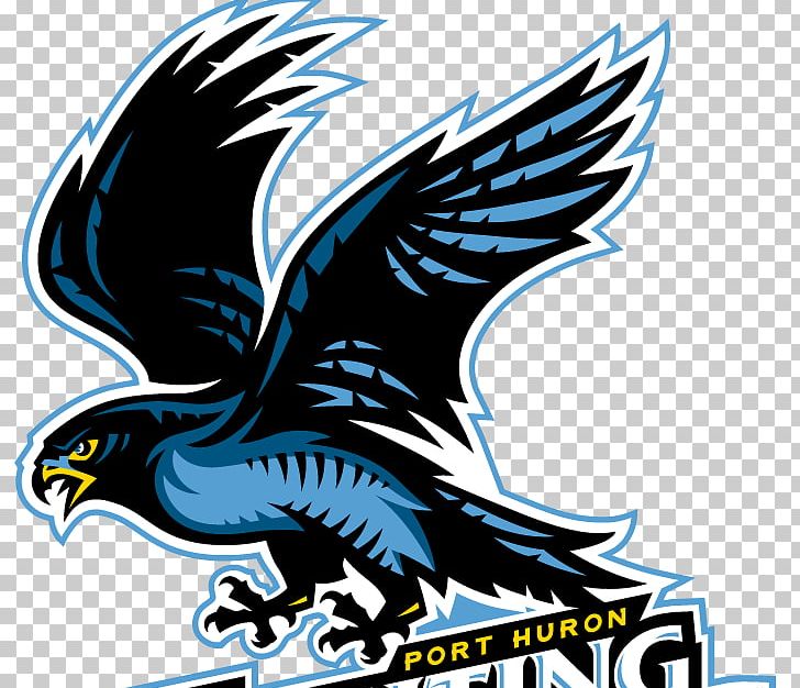 McMorran Place Keystone Ice Miners Atlanta Falcons Port Huron Icehawks Johnstown Tomahawks PNG, Clipart, American Football, Atlanta Falcons, Bald Eagle, Beak, Bird Free PNG Download