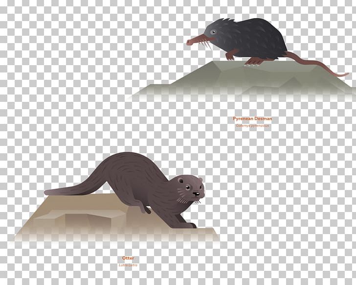 Rat Mouse Illustration PNG, Clipart, Animal, Animals, Carnivoran, Computer Programming, Data Free PNG Download