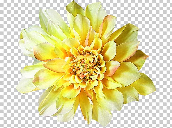 Centerblog Dahlia Floral Design Cut Flowers PNG, Clipart, Annual Plant, Blog, Centerblog, Chrysanthemum, Chrysanths Free PNG Download