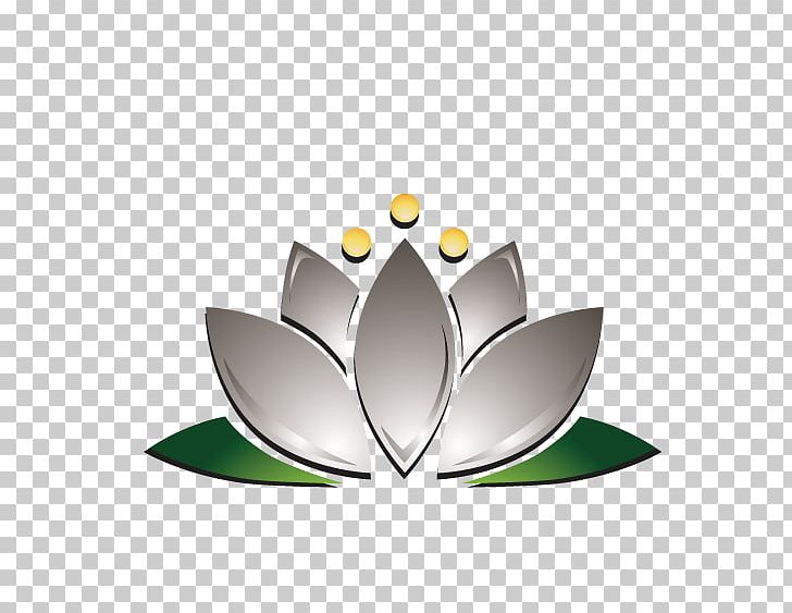 Graphic Design Nelumbo Nucifera Icon PNG, Clipart, 3d Computer Graphics, Adobe Illustrator, Brand, Computer Software, Dimensional Free PNG Download