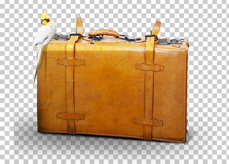 Suitcase Travel Baggage PNG, Clipart, Bag, Baggage, Box, Brand, Clothing Free PNG Download