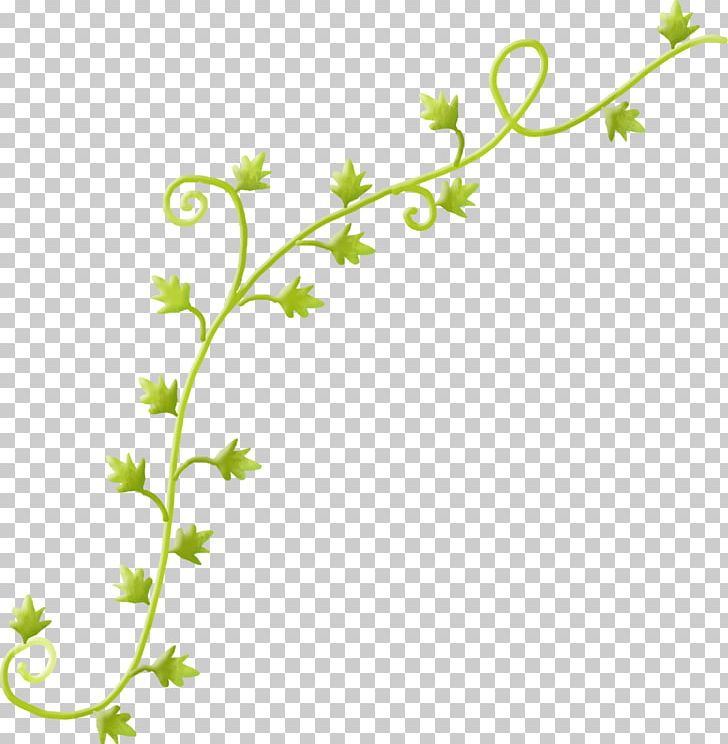 Vine PNG, Clipart, Branch, Encapsulated Postscript, Flora, Flower, Flowering Plant Free PNG Download