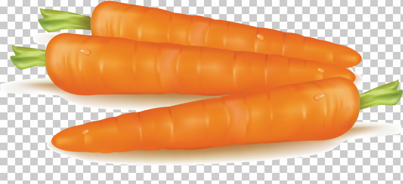 Orange PNG, Clipart, Baby Carrot, Carrot, Food, Orange, Plant Free PNG Download