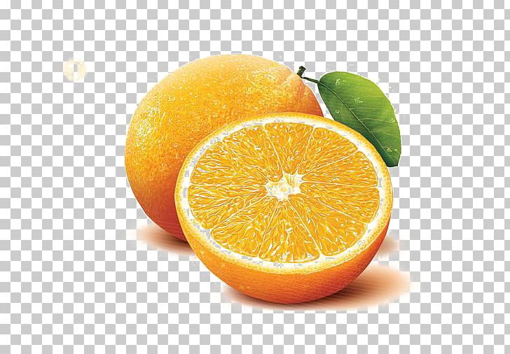 Orange Juice Blood Orange Tangelo PNG, Clipart, Citrus, Creative Background, Creative Logo Design, Food, Fresh Juice Free PNG Download