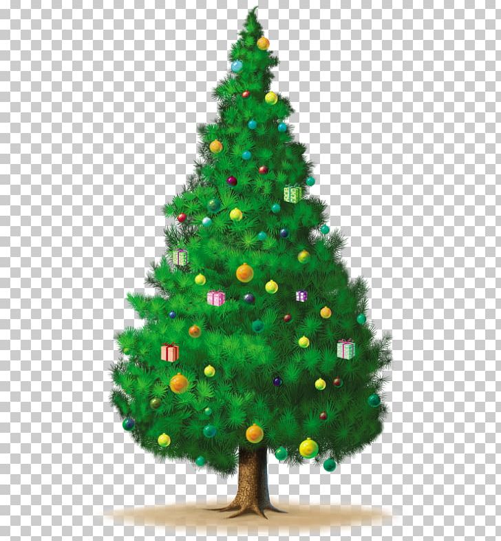 Christmas Tree Santa Claus PNG, Clipart, Christmas, Christmas Decoration, Christmas Ornament, Christmas Tree, Conifer Free PNG Download