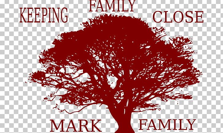 Tree Southern Live Oak Drawing PNG, Clipart, Brand, Drawing, Oak, Plant, Royaltyfree Free PNG Download
