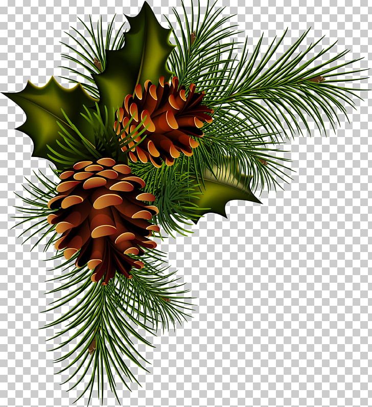 Conifer Cone Pine Christmas PNG, Clipart, Artichokes, California Foothill Pine, Christmas, Christmas Decoration, Christmas Ornament Free PNG Download