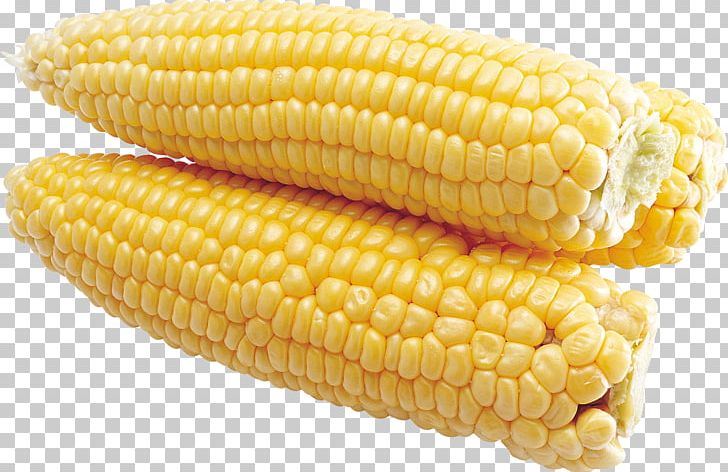 Flint Corn Corn On The Cob Sweet Corn Taco PNG, Clipart, Commodity, Corn, Corn Kernel, Corn Kernels, Corn On The Cob Free PNG Download