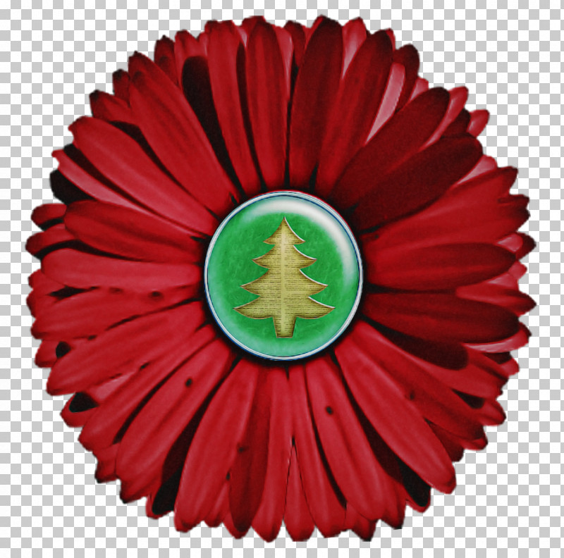 Red Flower Coquelicot Plant Petal PNG, Clipart, Coquelicot, Flower, Gerbera, Petal, Plant Free PNG Download
