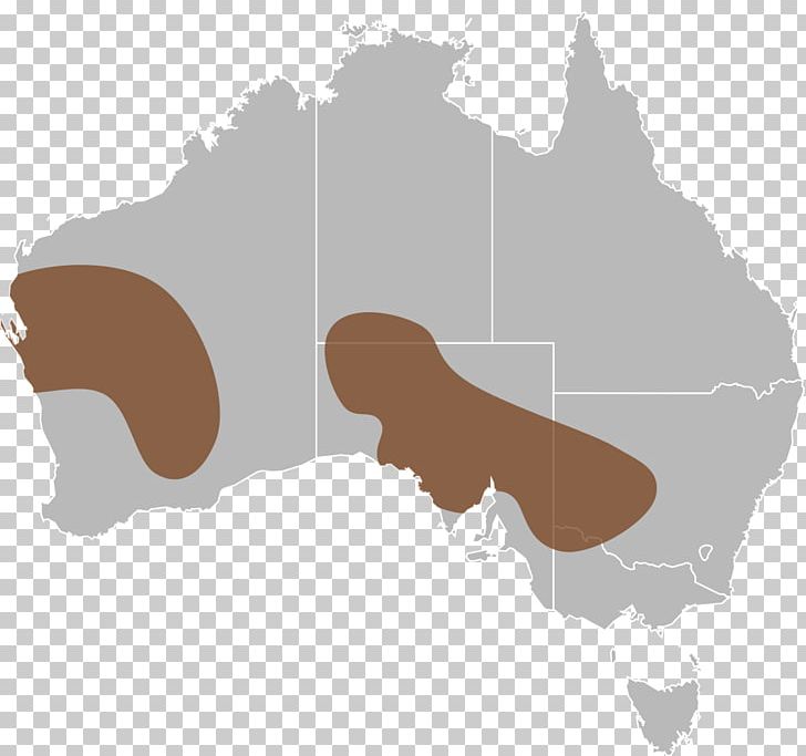 Australia Map PNG, Clipart, Angle, Australia, Blank Map, Distribution, Flag Of Australia Free PNG Download