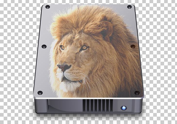 Mac OS X Lion Mac Book Pro MacOS Desktop PNG, Clipart, Apple, Big Cats, Carnivoran, Cat Like Mammal, Computer Monitors Free PNG Download