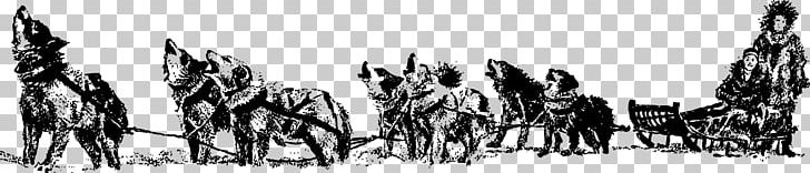 Siberian Husky Sled Dog Dog Sled PNG, Clipart, Alaskan Husky, Animals, Black And White, Dog, Dog Sled Free PNG Download