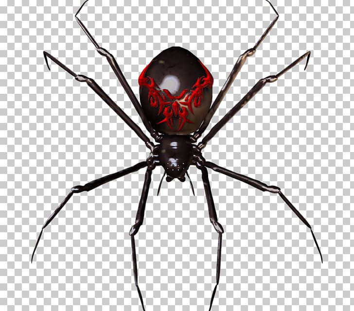 Spider Widget PNG, Clipart, Android, Arachnid, Araneus, Arthropod, Black Widow Free PNG Download