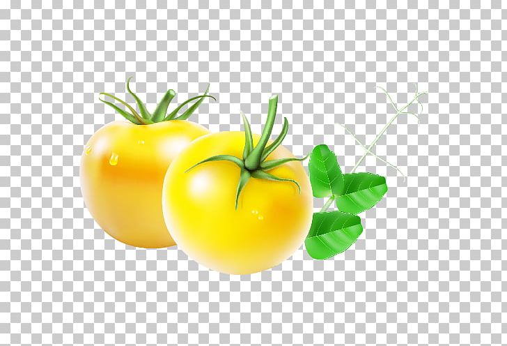 Tomato Sauce Cartoon PNG, Clipart, Apple, Auglis, Balloon Cartoon, Boy Cartoon, Cartoon Free PNG Download