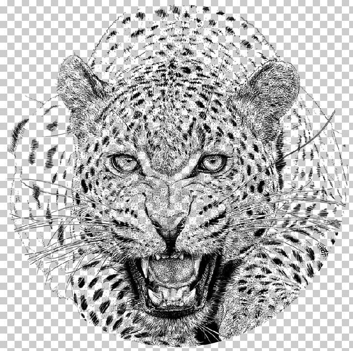Cheetah Jaguar Drawing Snow Leopard African Leopard PNG, Clipart, Animal, Animals, Art, Big Cat, Big Cats Free PNG Download