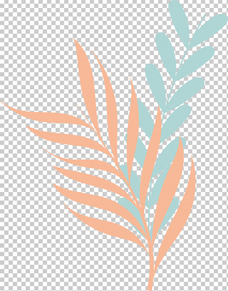 Plant Stem Branch Leaf Flower Line PNG, Clipart, Biology, Branch, Flower, Leaf, Line Free PNG Download