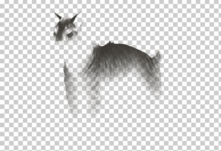 Whiskers Balinese Cat Domestic Short-haired Cat Dog Breed PNG, Clipart, Animals, Balinese, Balinese, Black And White, Breed Free PNG Download
