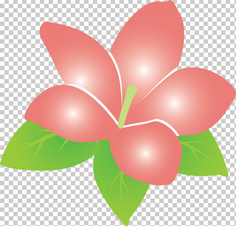 Jasmine Jasmine Flower PNG, Clipart, Biology, Flower, Heart, Jasmine, Jasmine Flower Free PNG Download