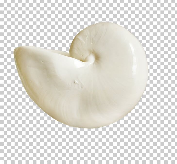 Designer Conch Creativity PNG, Clipart, Adobe Illustrator, Brown, Conch Creative Photography, Creative, Creative Ads Free PNG Download