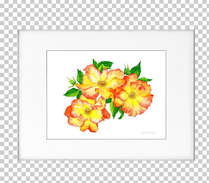 Floral Design Cut Flowers Frames Petal Pattern PNG, Clipart, Cut Flowers, Flora, Floral Design, Floristry, Flower Free PNG Download