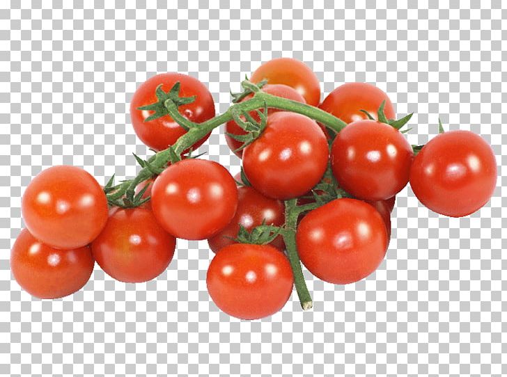 Plum Tomato Bush Tomato Cocktail Cherry Tomato Vegetable PNG, Clipart, Acerola Family, Beefsteak Tomato, Bush Tomato, Cherry, Cockta Free PNG Download