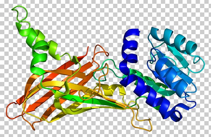 PRMT1 Methyltransferase Gene Protein Histone PNG, Clipart, Arginine, Art, Artwork, Chromatin, Enzyme Free PNG Download