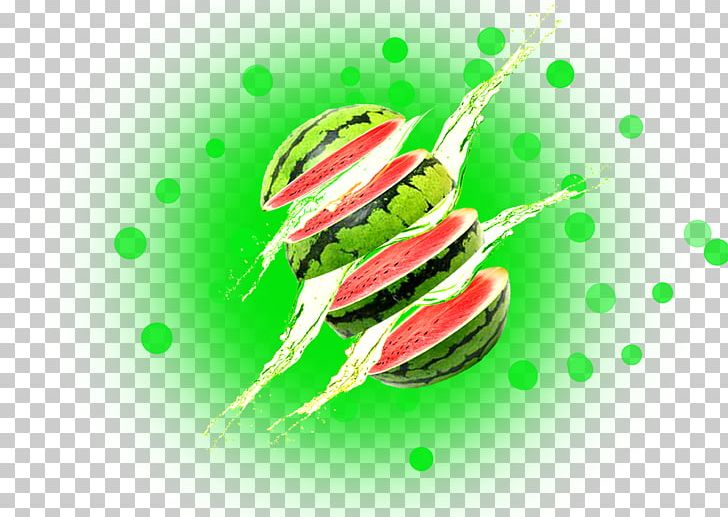 Cantaloupe Watermelon PNG, Clipart, Computer Wallpaper, Drawing, Encapsulated Postscript, Food, Fruit Free PNG Download
