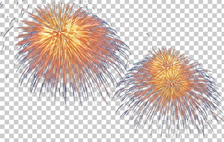 LInternational Des Feux Loto-Quxe9bec Sumidagawa Fireworks Festival PNG, Clipart, Aestheticism, Art, Beauty, Beauty Salon, Computer Wallpaper Free PNG Download