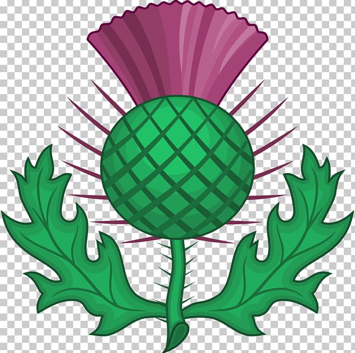 National Symbols Of Scotland Order Of The Thistle PNG, Clipart, Ball, Cirsium Vulgare, Clip Art, Creeping Thistle, Flower Free PNG Download