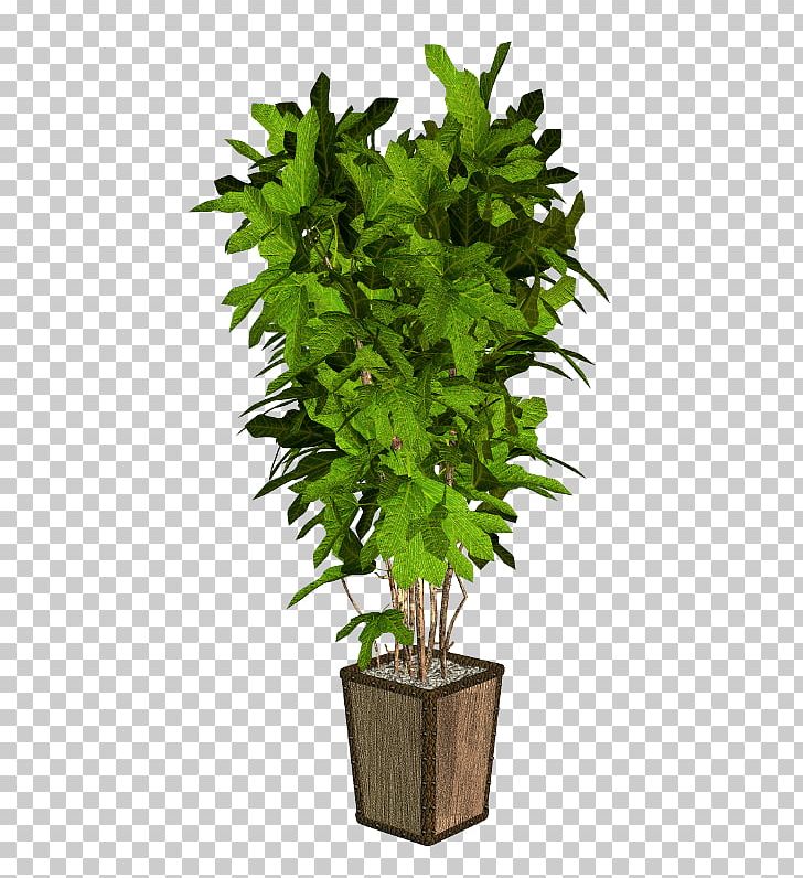 Plant Arecaceae Verdure Station PNG, Clipart, Arecaceae, Bitki Resimleri, Cura, Deco, Digital Image Free PNG Download