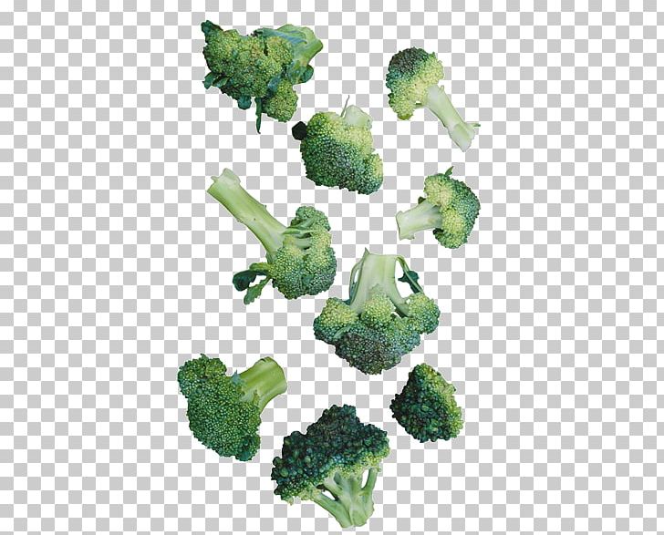 Cauliflower Broccoli Vegetable PNG, Clipart, Brassica Oleracea, Broccoli, Cabbage, Cartoon Cauliflower, Cauliflower Free PNG Download