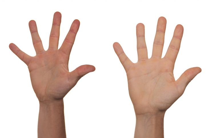 Handshake Finger Arm PNG, Clipart, Arm, Child, Finger, Fingers, Hand Free PNG Download