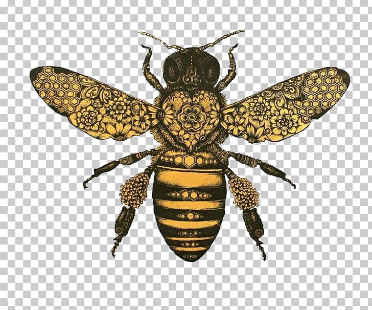 Honey Bee Drawing Bumblebee PNG, Clipart, Art, Arthropod, Art Museum, Bee, Beehive Free PNG Download
