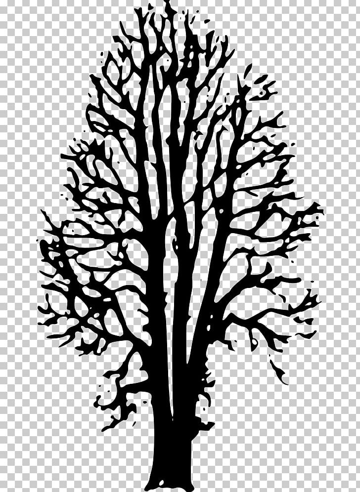 The Country Beyond The Forests Ophelia: Afterworld Book One Tree Drawing PNG, Clipart, Art, Beech, Beech Tree, Black And White, Book Free PNG Download