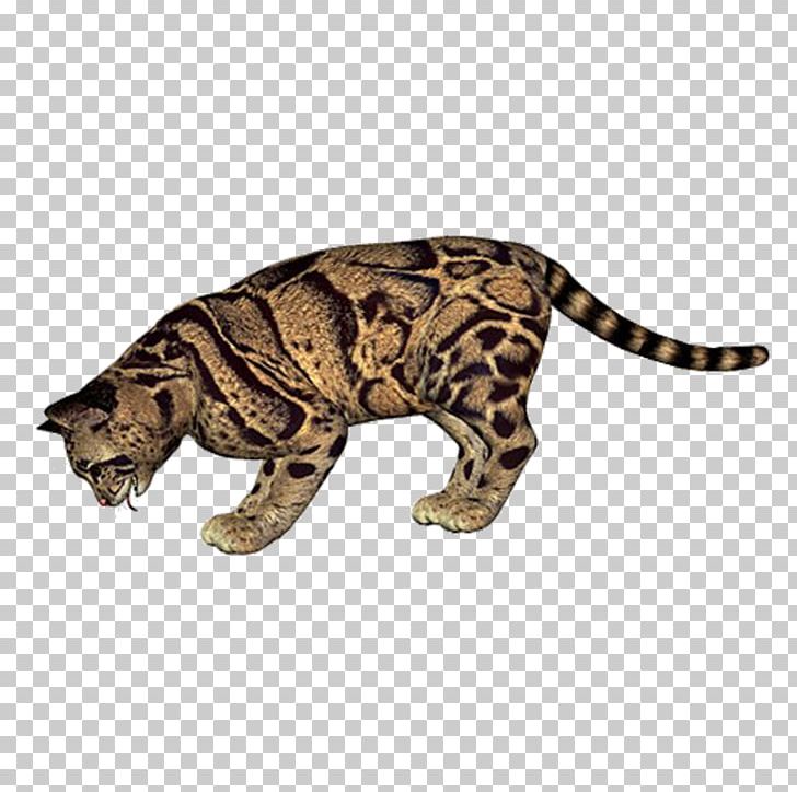 Leopard Cheetah Eurasian Lynx Tiger PNG, Clipart, Animal, Animals, Big Cats, Carnivoran, Cat Free PNG Download