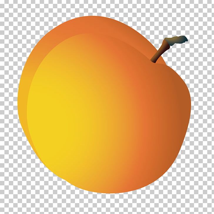 Orange Grapefruit Pomelo PNG, Clipart, Apple, Balloon Cartoon, Boy Cartoon, Cartoon Alien, Cartoon Character Free PNG Download