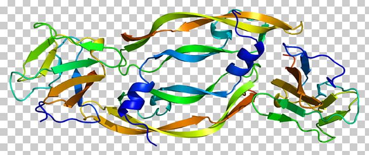 VEGF Receptor Vascular Endothelial Growth Factor VEGFR1 Kinase Insert Domain Receptor Soluble Fms-like Tyrosine Kinase-1 PNG, Clipart, Angiogenesis, Art, Artwork, Endothelium, Flt Free PNG Download