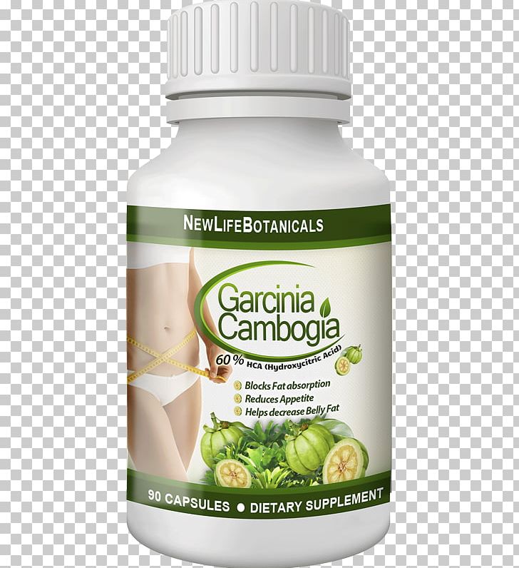 Garcinia Cambogia Hydroxycitric Acid Dietary Supplement Coffee Garcinia Indica PNG, Clipart, Coffee, Detoxification, Diet, Dietary Supplement, Dieting Free PNG Download