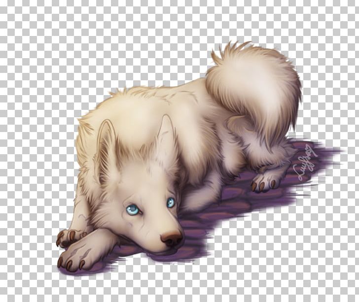 Whiskers Puppy Dog Breed Siberian Husky Cat PNG, Clipart, 29 April, Animals, Breed, Carnivoran, Cat Free PNG Download