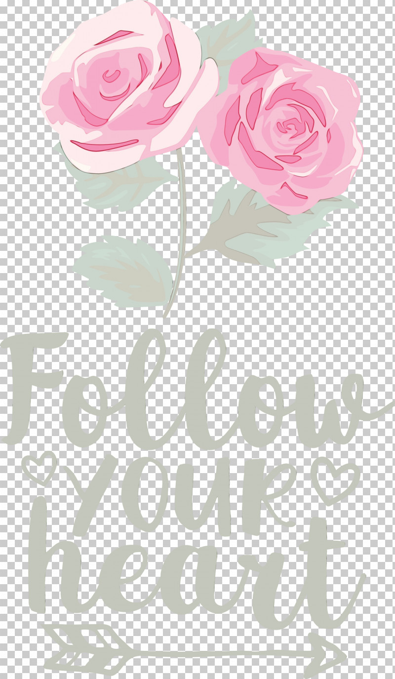 Floral Design PNG, Clipart, Cabbage Rose, Cut Flowers, Floral Design, Flower, Flower Bouquet Free PNG Download