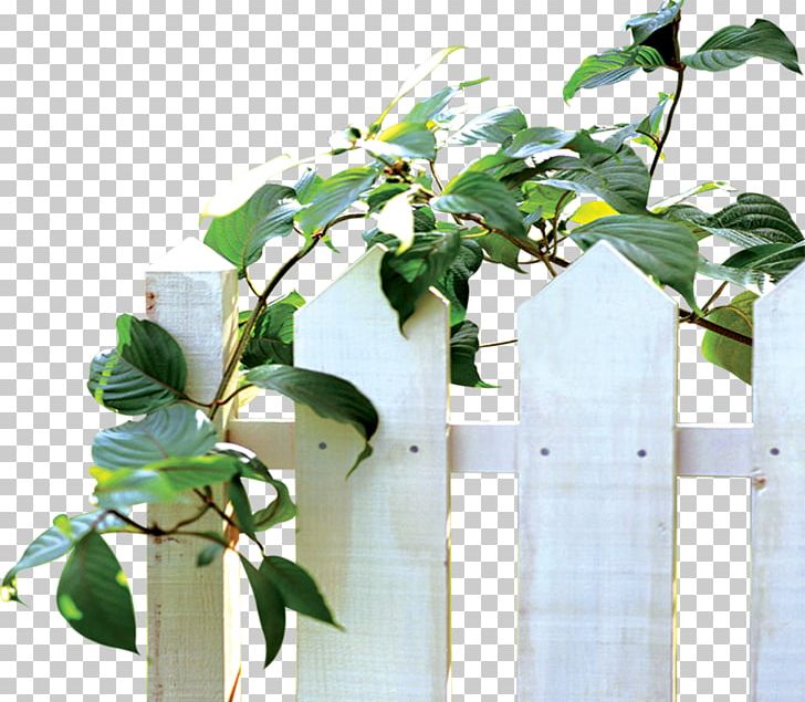 Vine Leaf Flowerpot PNG, Clipart, Background White, Black White, Branch, Fence, Flower Free PNG Download