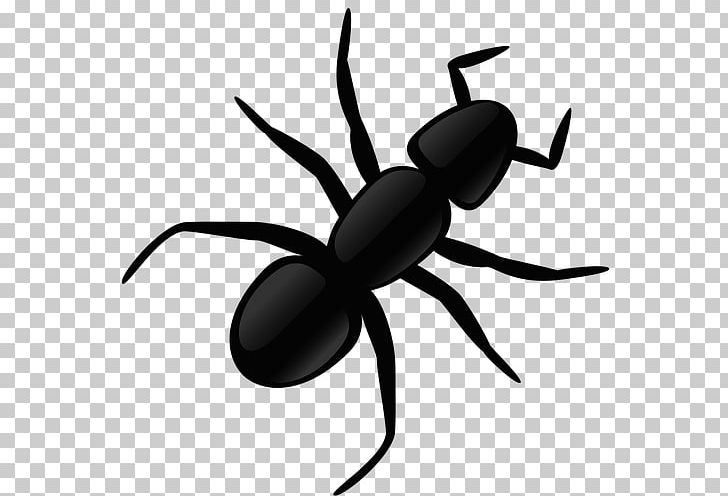 Ant PNG, Clipart, Ant, Arthropod, Artwork, Black And White, Clip Art Free PNG Download