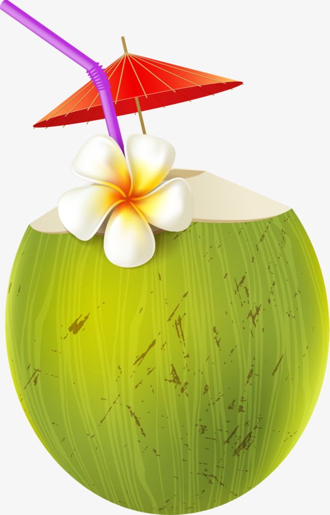 Cartoon Coconut Juice PNG, Clipart, Beach, Cartoon Clipart, Coconut, Coconut Clipart, Dig Free PNG Download