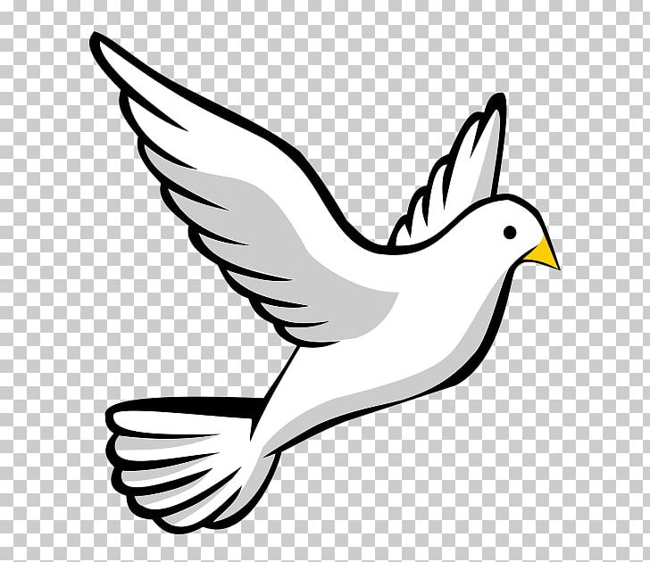 Doves As Symbols Columbidae PNG, Clipart, Artwork, Beak, Bird, Black And White, Clip Art Free PNG Download