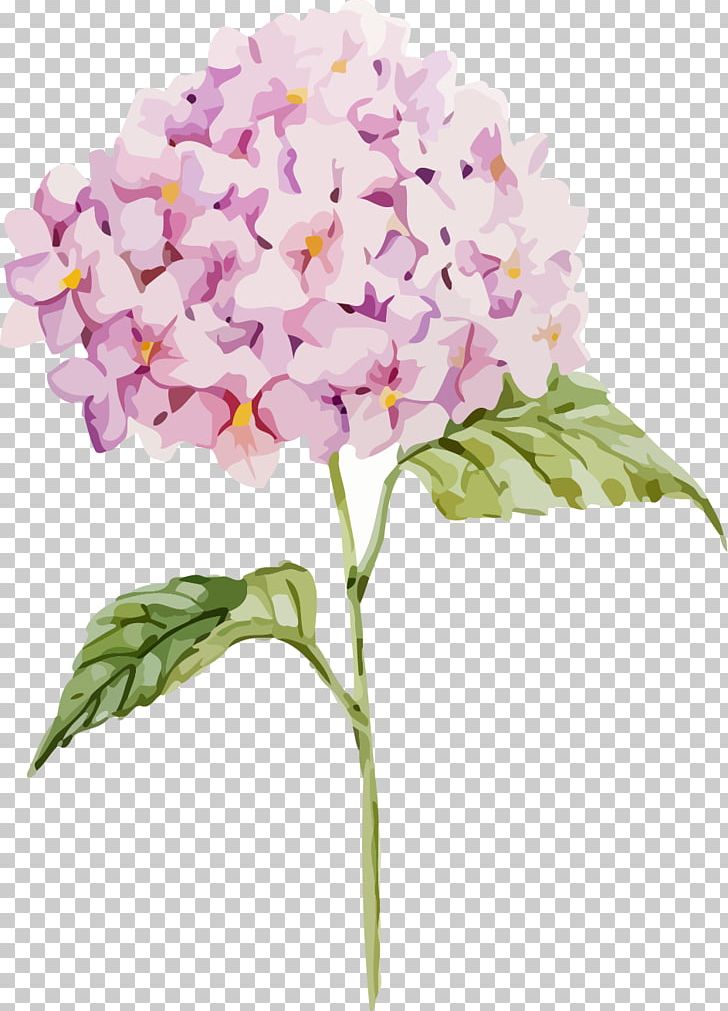 Paper Oakleaf Hydrangea Euclidean PNG, Clipart, Artificial Flower, Branch, Cartoon, Color, Cornales Free PNG Download