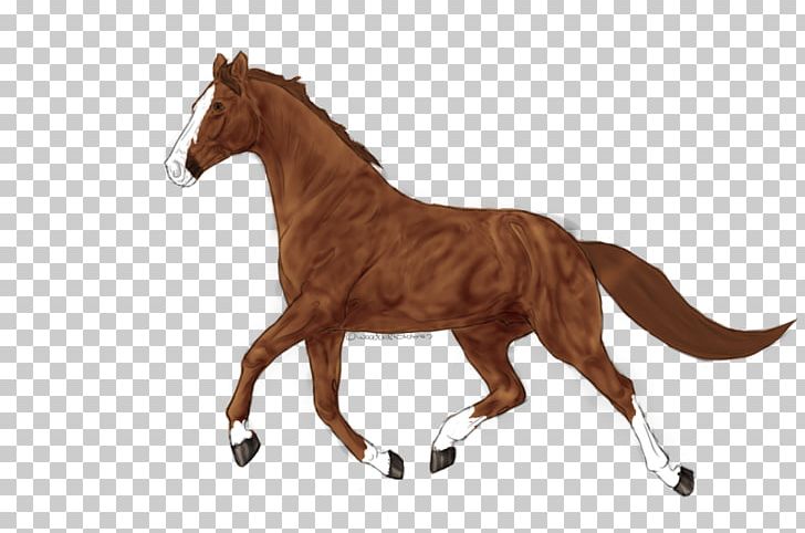 Mustang Foal Stallion Mare Rein PNG, Clipart, Animal Figure, Bridle, Foal, Halter, Horse Free PNG Download