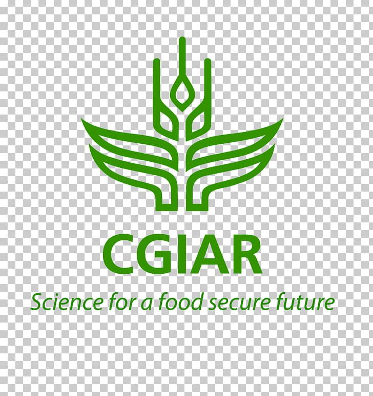 CGIAR Agriculture International Food Policy Research Institute International Livestock Research Institute PNG, Clipart, Agriculture, Agroforestry, Area, Bioethics, Bioversity International Free PNG Download