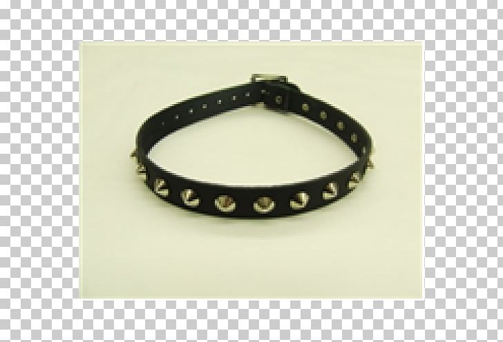 Bracelet Dog Collar Belt Buckles PNG, Clipart, Animals, Belt, Belt Buckle, Belt Buckles, Bracelet Free PNG Download
